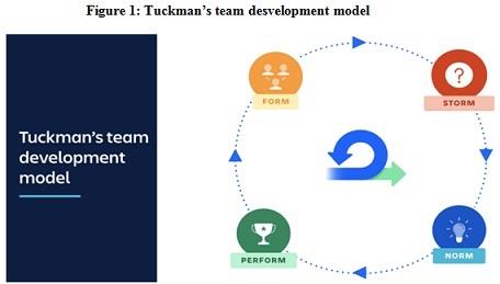 Leading and Building High Performing Teams Assignment Figure.jpg